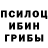 Галлюциногенные грибы Psilocybe Nargiz Avdeeva