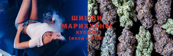 ECSTASY Заводоуковск