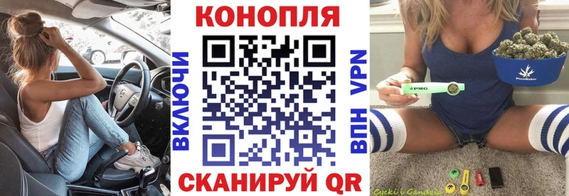 Марихуана планчик  Родники 